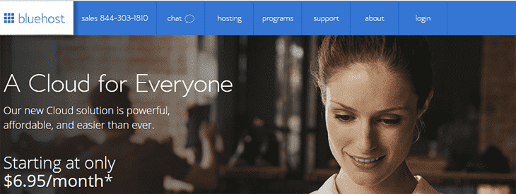 BlueHost Website