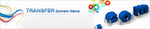 Transfer Domain name