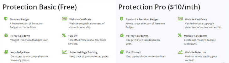Features of Basic and Paid Protection DMCA