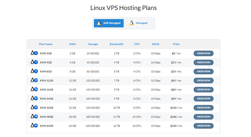 iozoom review Linux VPS Hosting Plans