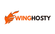 Winghosty Coupon Code and Promo codes