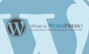 What are the benefits of using WordPress for website creation?