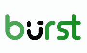 Burst-Statistics Coupon Code